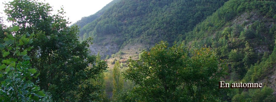 La vallée du Rébenty en automne