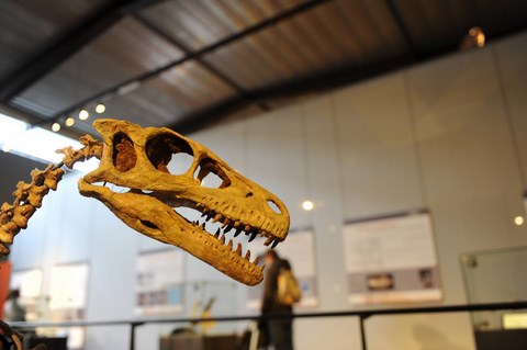 Musée des dinosaures Espéraza