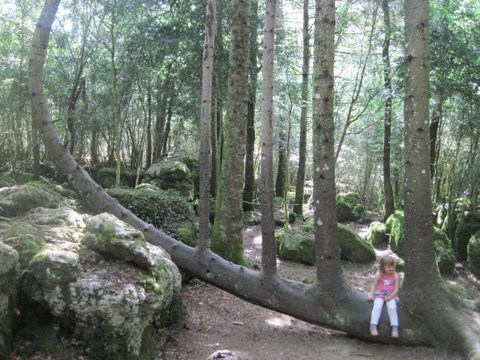 Labyrinthe de Nébias